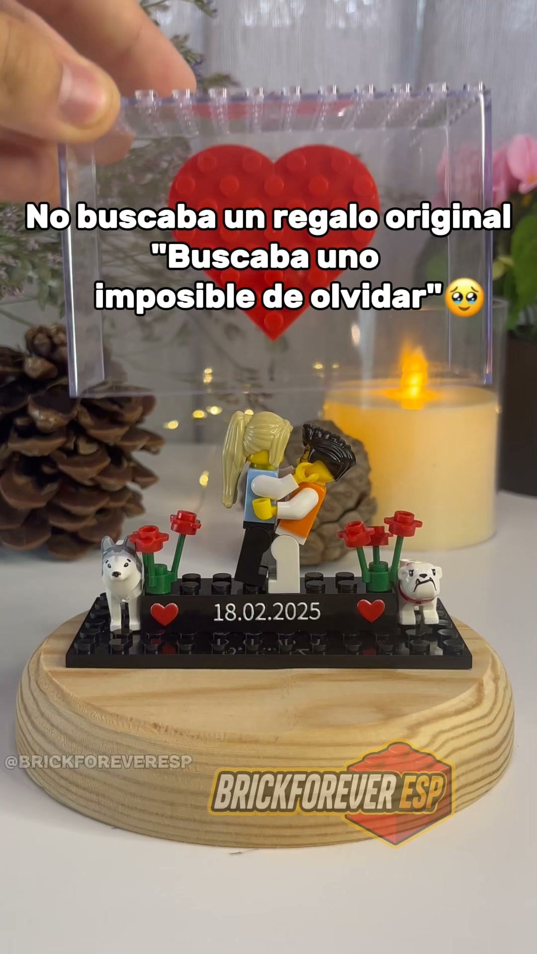 25% SOLO HOY