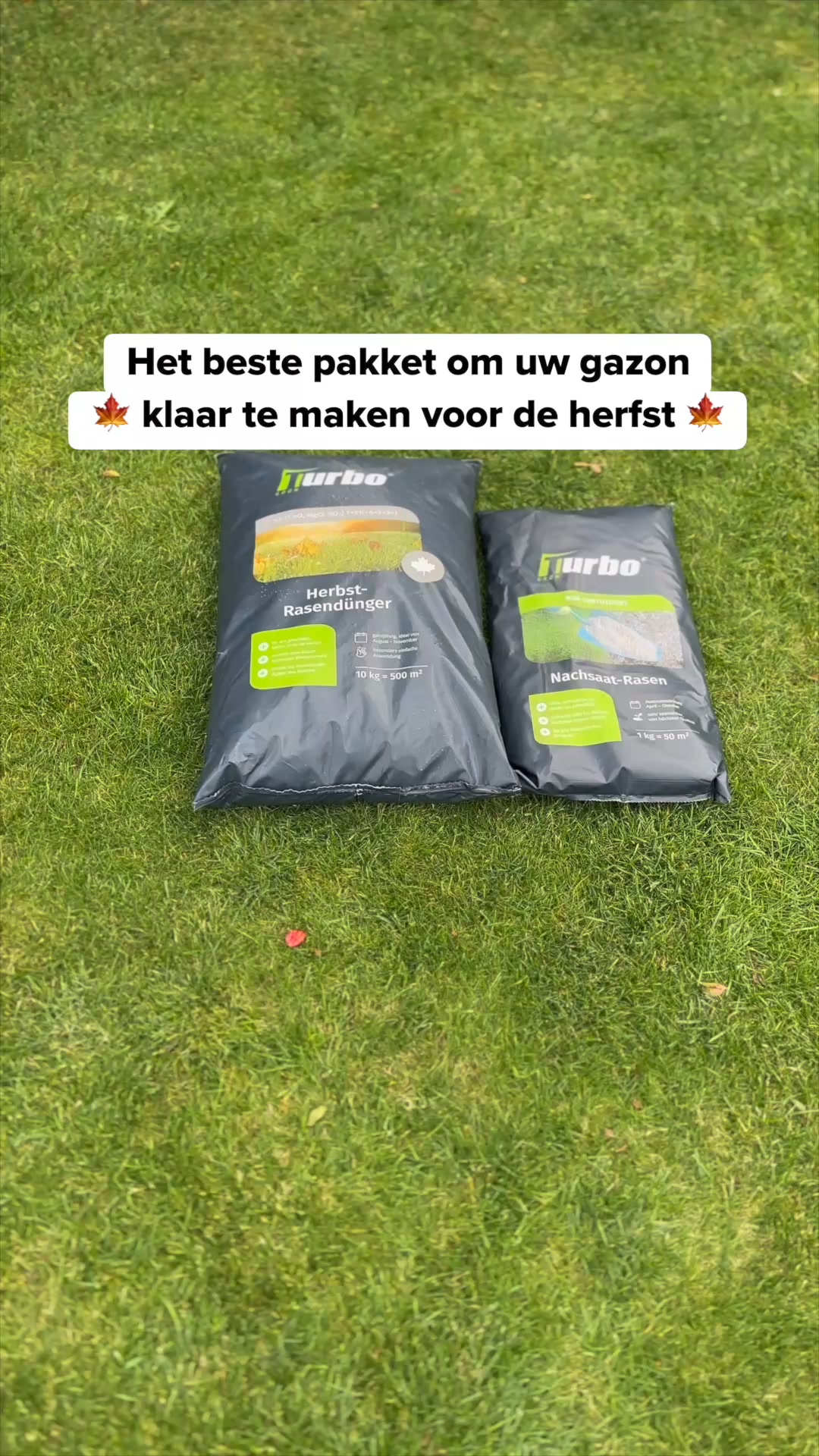 Je gazon redden na de zomer