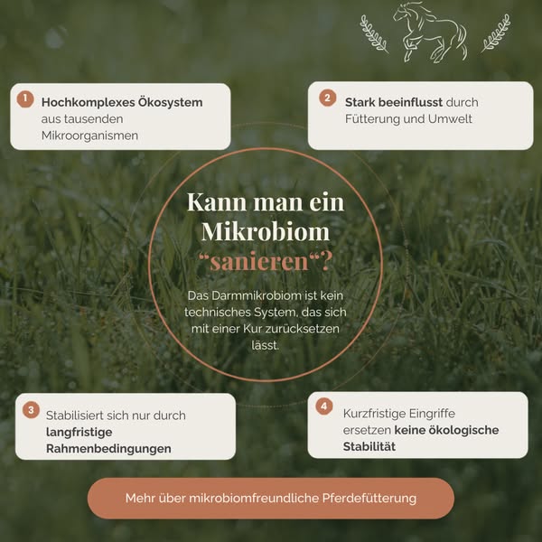 Jetzt den Unterschied entdecken
