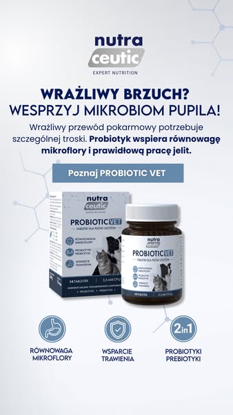 Wsparcie dla wrażliwych psich i kocich brzuszków