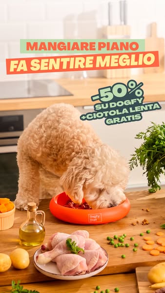 Al buon cibo, il ritmo giusto Ora la tua prima box Dogfy arriva con una ciotola anti-ingozzamento in regalo