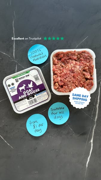 Premium Raw Dog Food