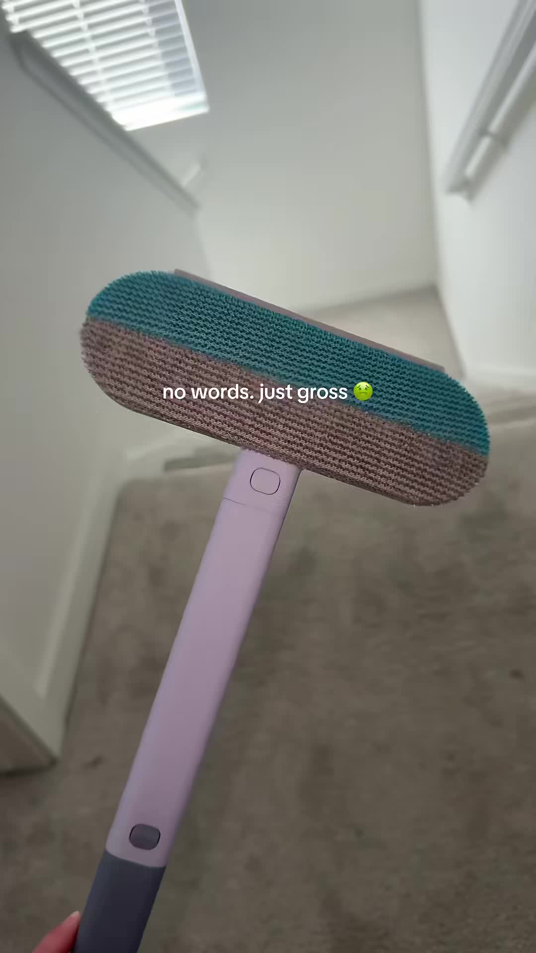 pet owners this is such a game changer
