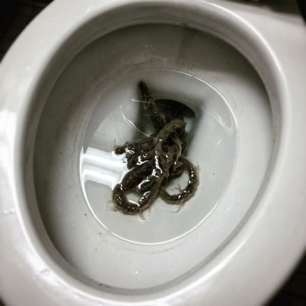 Körper natürlich entgiften