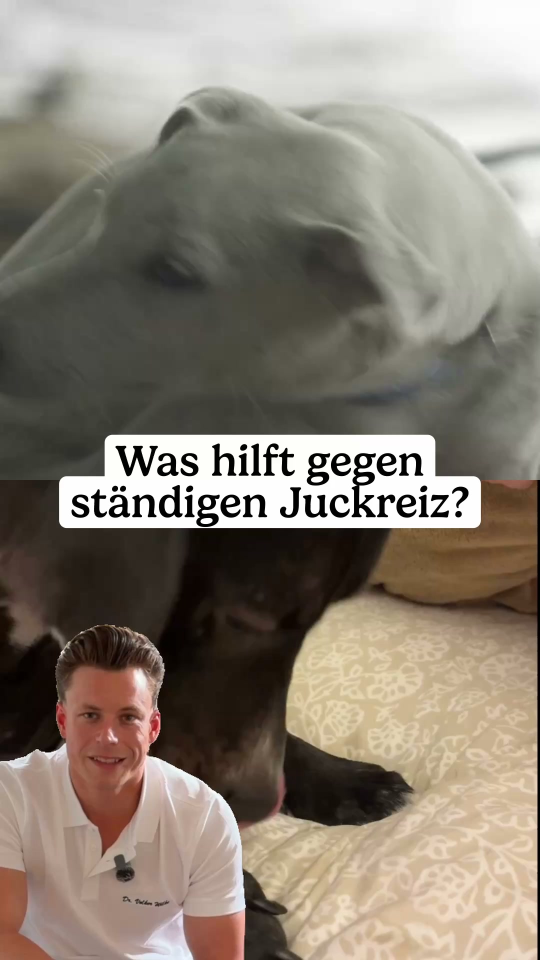 Natürliche Hilfe für mehr Wohlbefinden