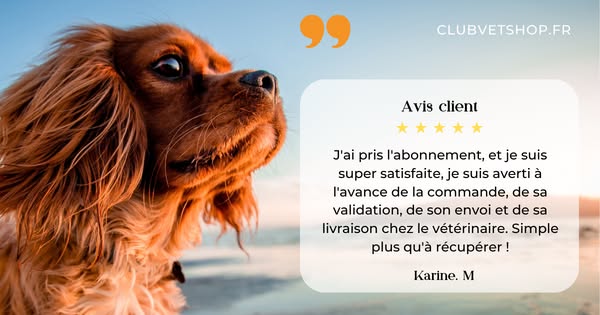 Paiement 100% sécurisé