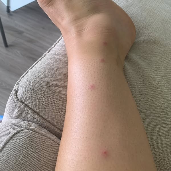 If fleas won't leave your home, this changes everything.