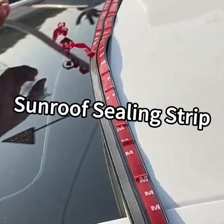 Op maat te snijden rubberen auto afdichtingsstrip