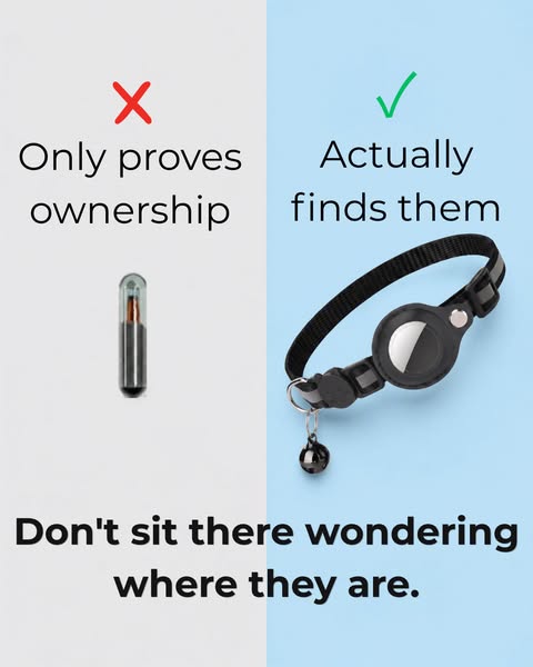 Don't sit there wondering where they are.