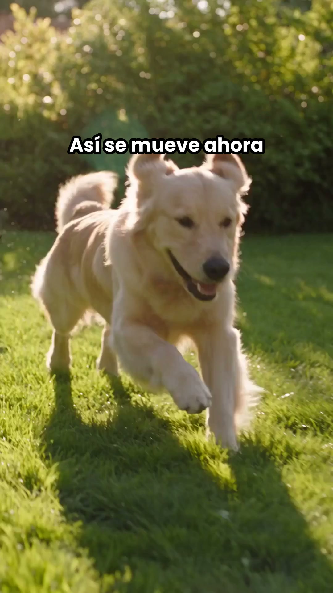 ENVÍOS GRATIS + PAGAS AL RECIBIR