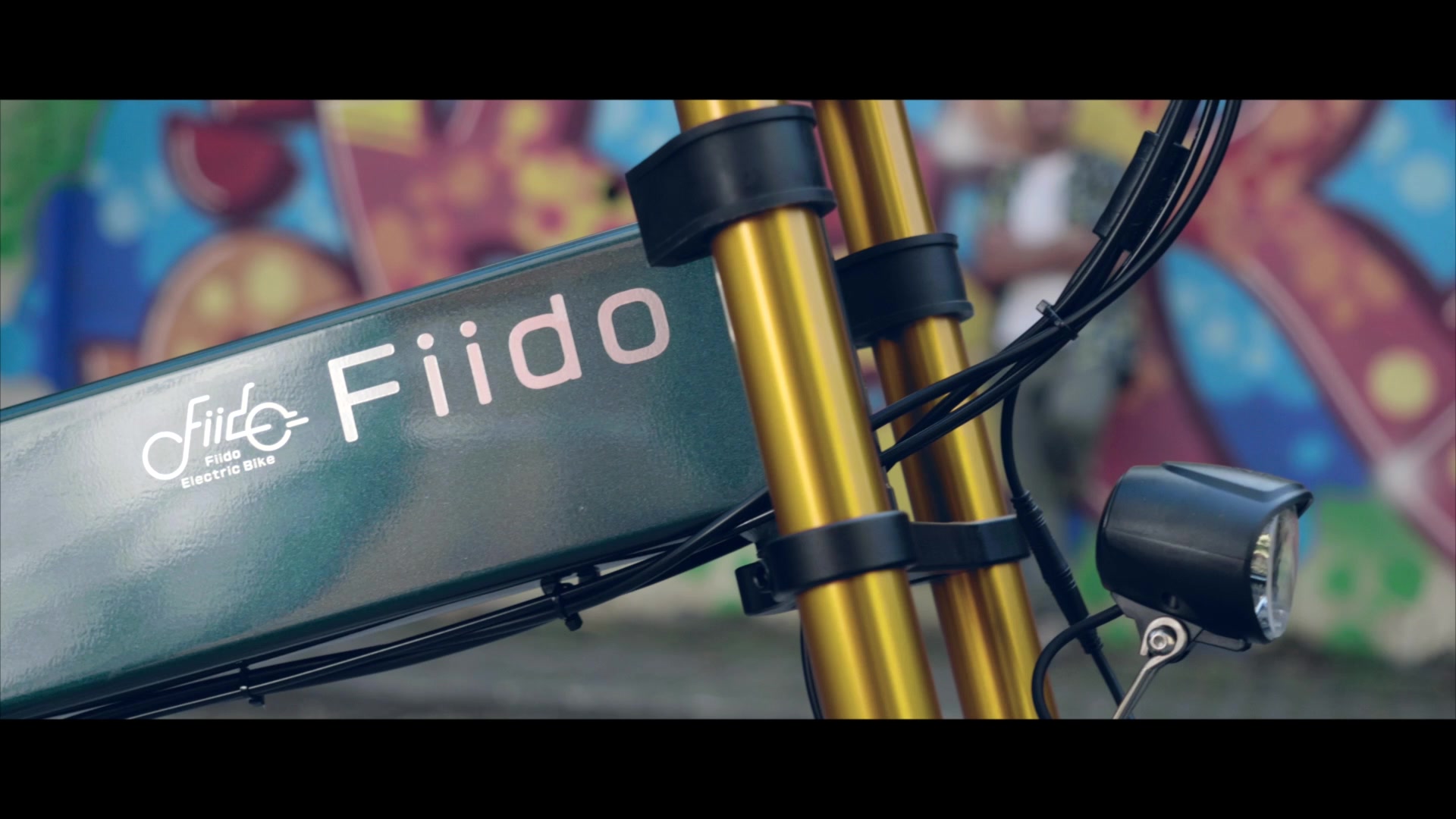 Fiido M1 Pro Bicicleta Electrica