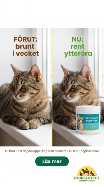 Brunt i vecket på kattens öra