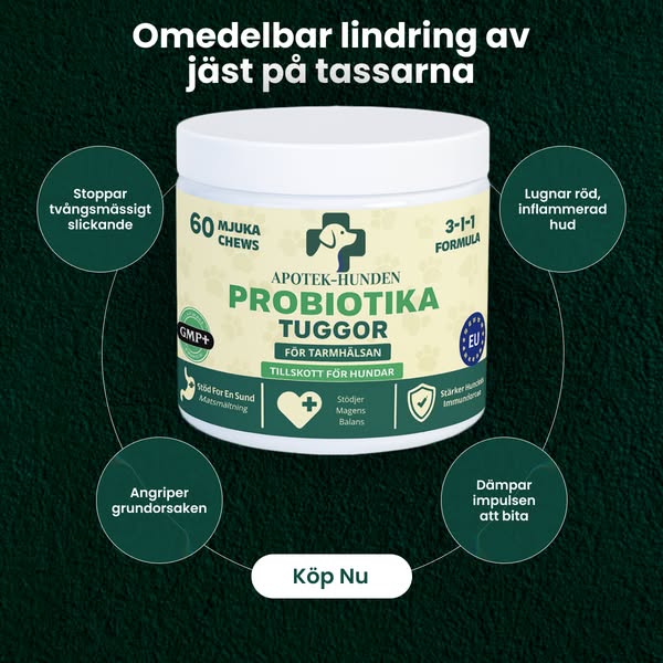 25,000+ hundar kan inte ha fel