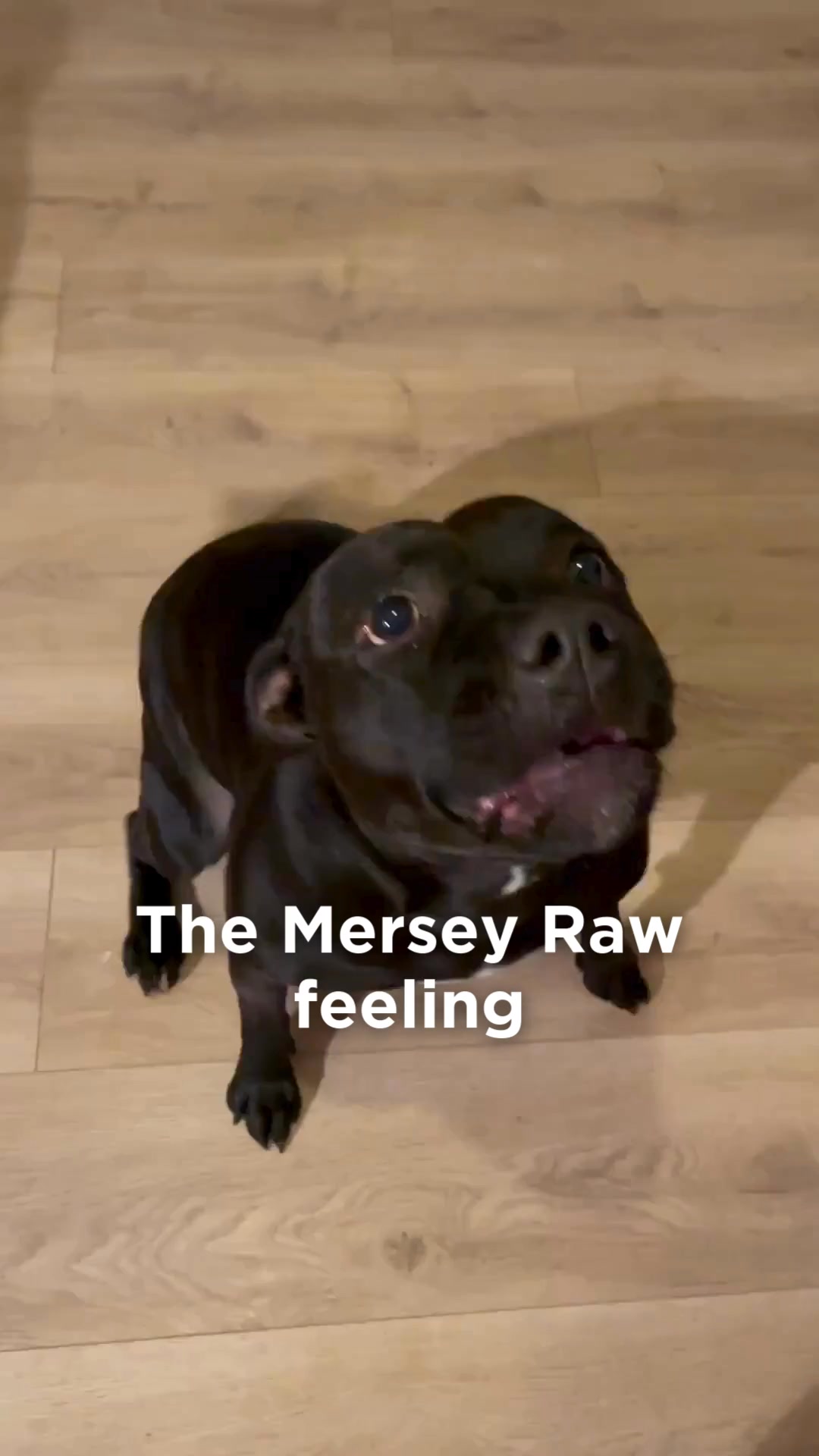 Anúncio de Mersey Raw