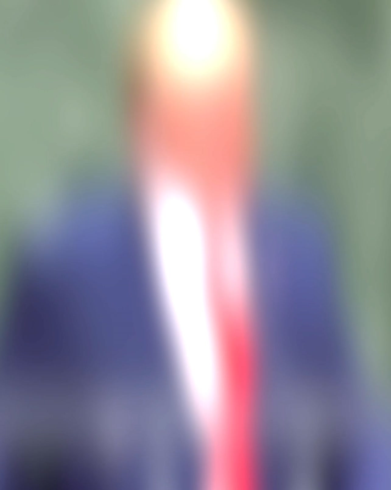Get Your Trump Gold Bundle
