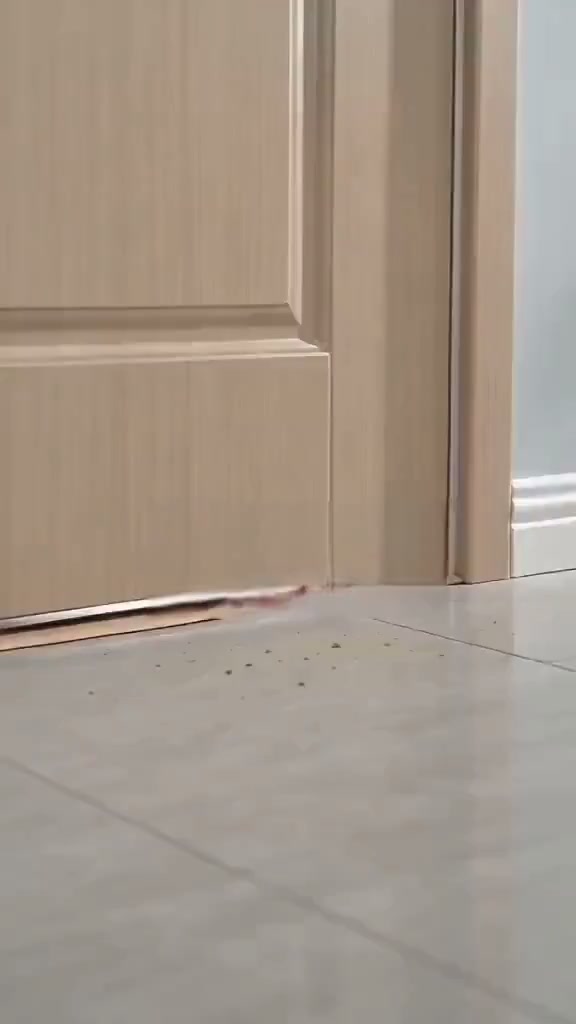 Anúncio de Shapedful