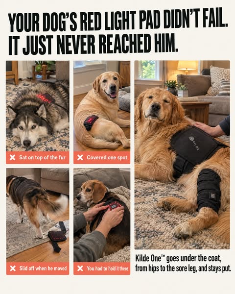 Your Dog’s Red Light Pad Didn’t Fail. The Fur Did.