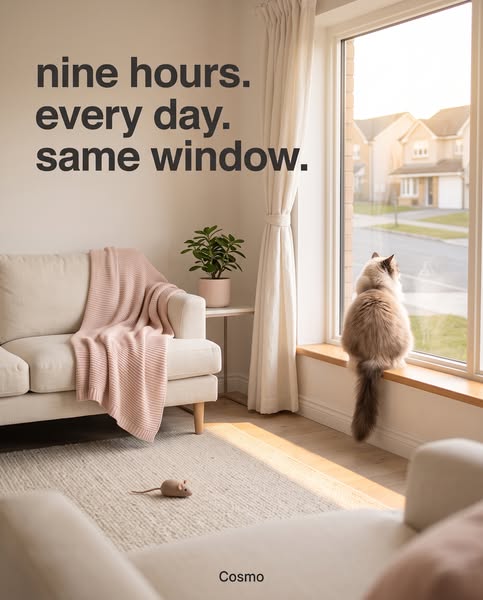 She does not have to wait all day