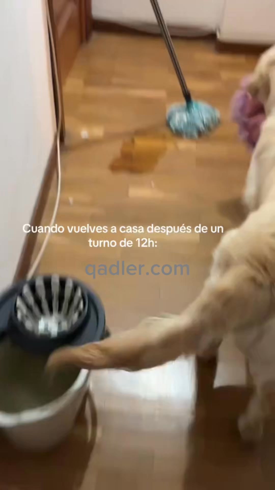 Sin charcos. Sin olor. Sin fregar el mismo suelo cada día.