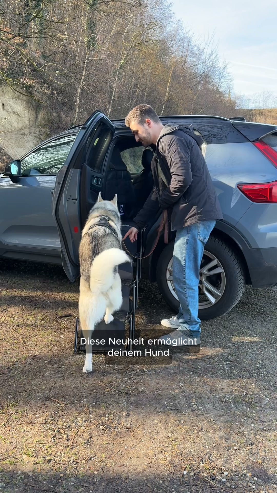 Endlich eine Hundetreppe für die Rückbank