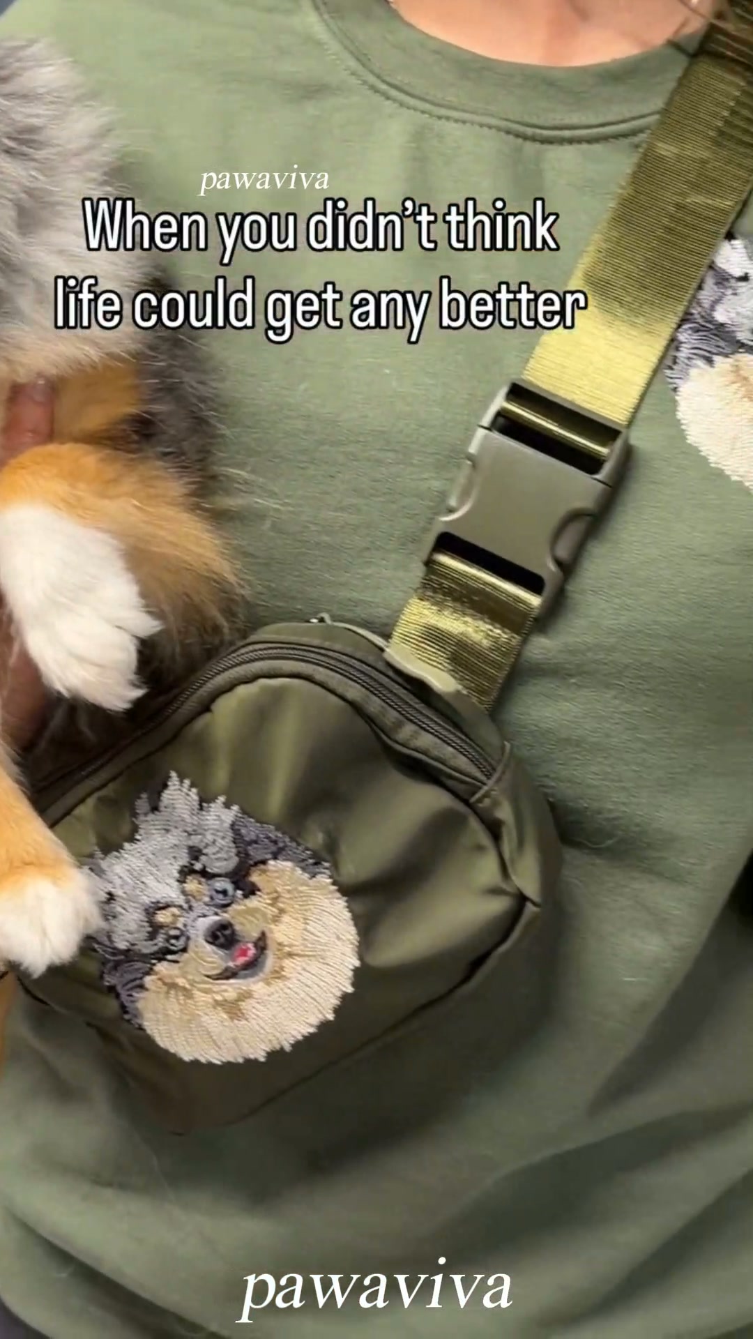Cuddle Up with Your Pet