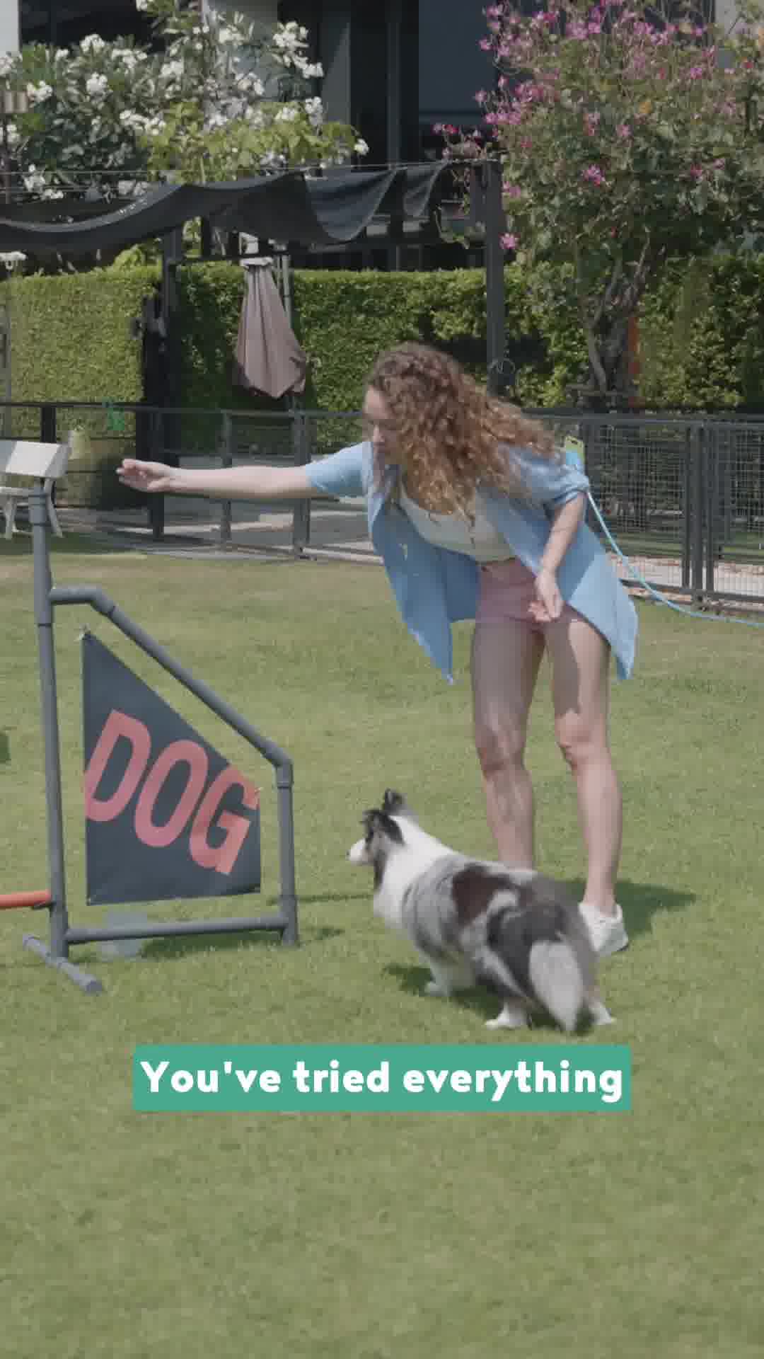 Help Your Dog Stay Calm Daily!