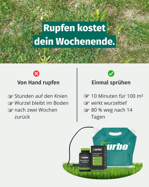 Unkraut raus. Rasen bleibt grün.