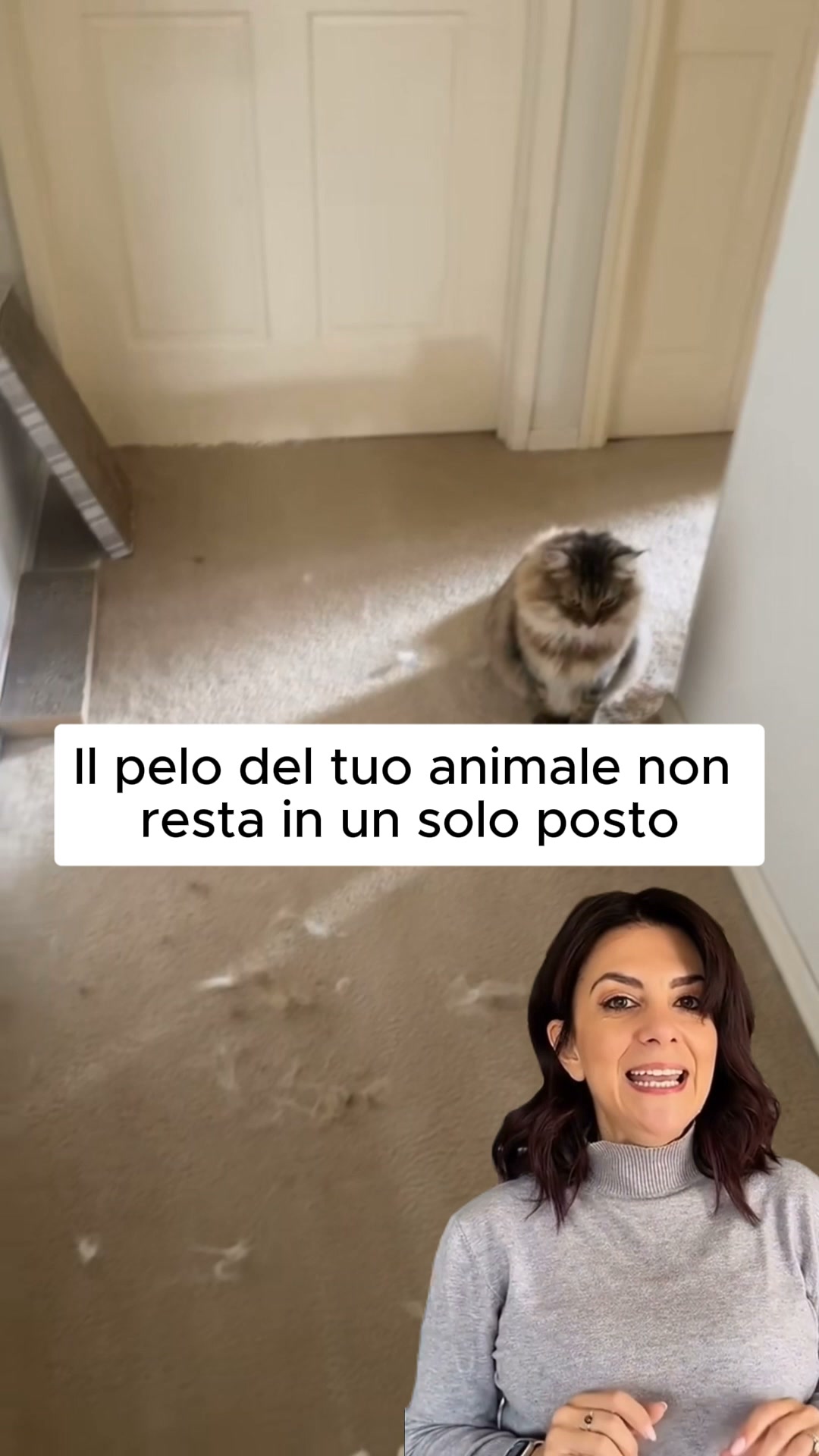 1 acquistato, 1 in OMAGGIO
