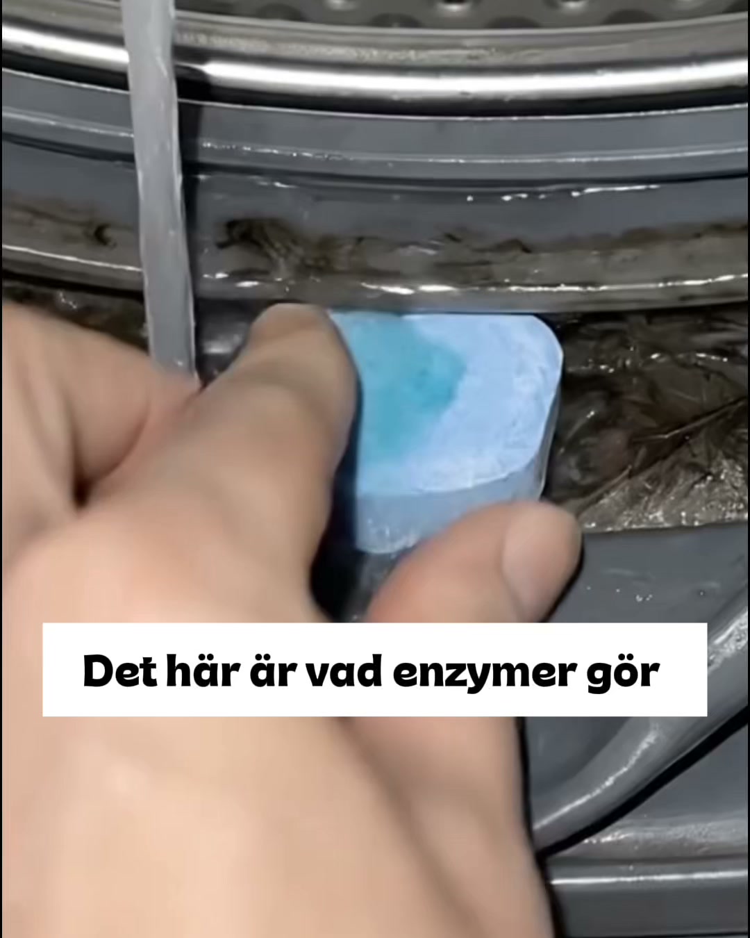 Djup rengör tvättmaskinen från päls, smuts & dålig lukt