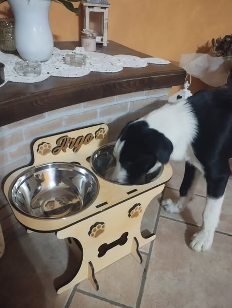 Crea il tuo portaciotole su misura!