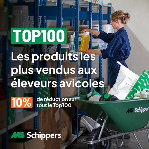 MS Schippers