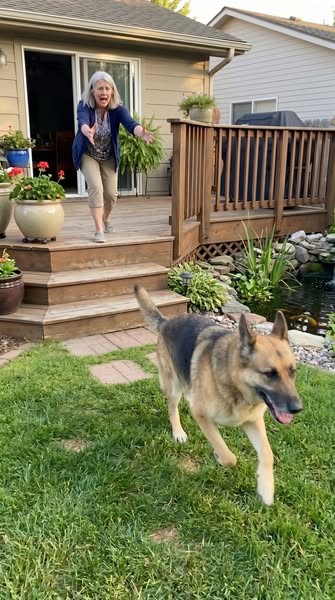 8 Weeks of Healing. Gone in One Jump.