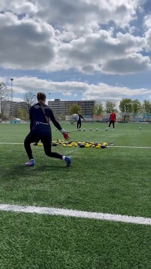 Goalkeeper Reaction Training Grid – Elite Ground Deflection Trainer