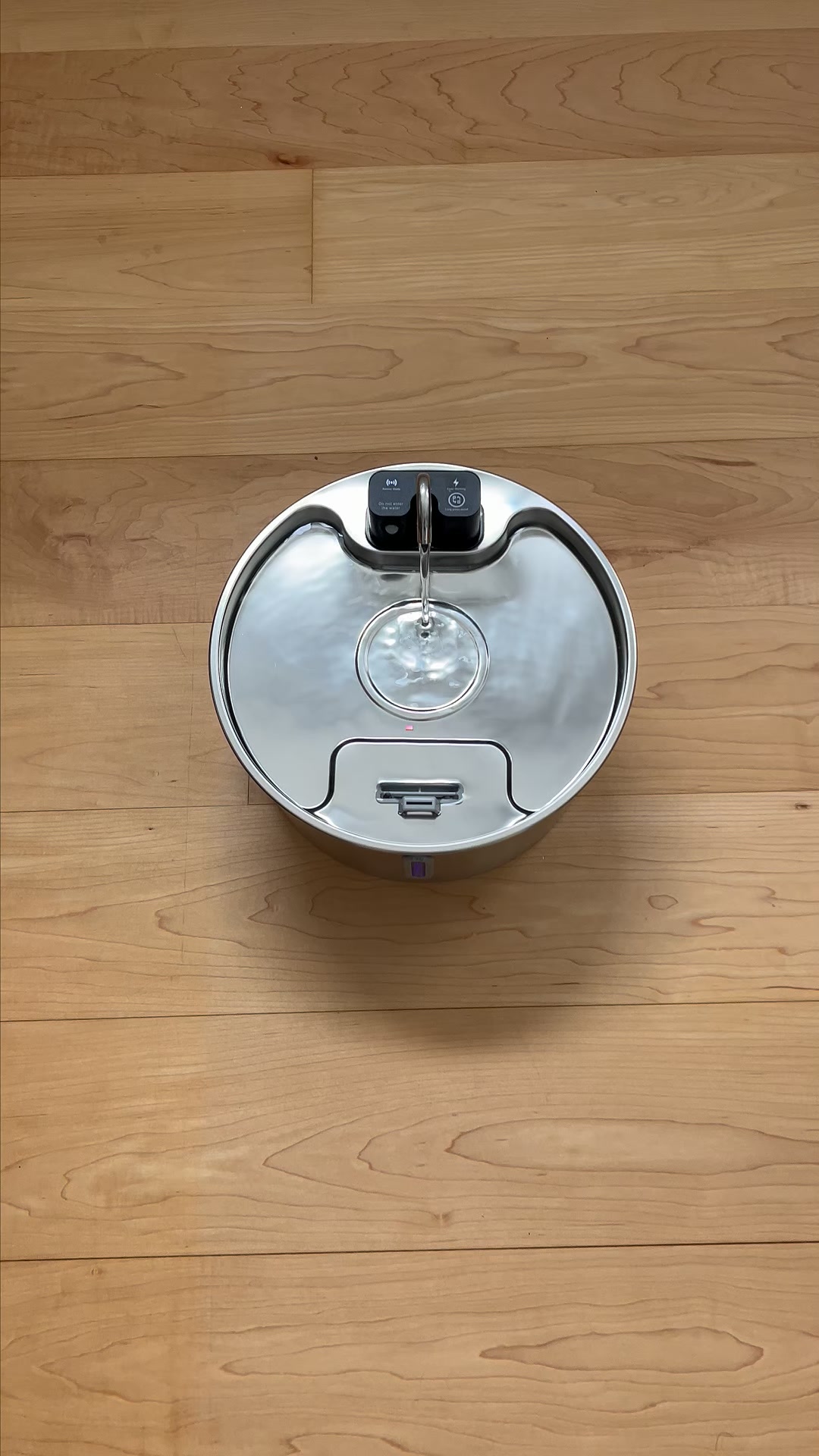 Verdient dein Hund nicht das Beste?