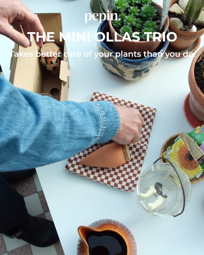 The Olla (genuinely) does it all