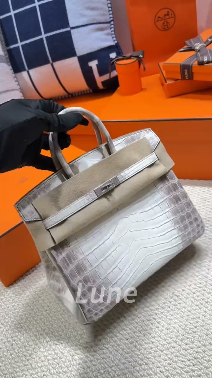 Your Personal Luxury Bag Advisor