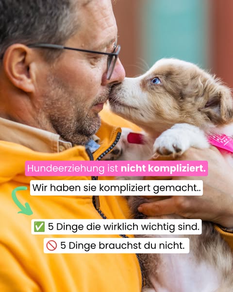 Die 5 Grundlagen für ein entspanntes Leben mit Hund