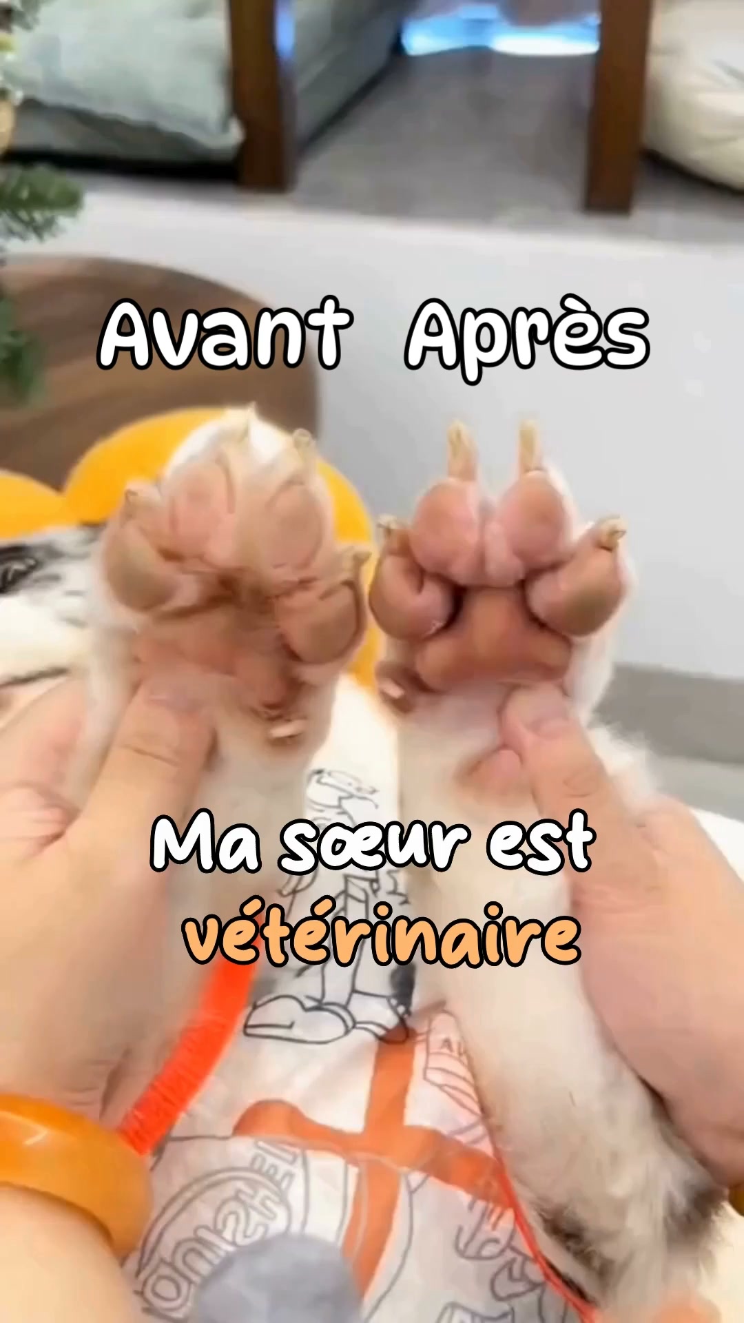 50% AUJOURD'HUI • Livraison offerte