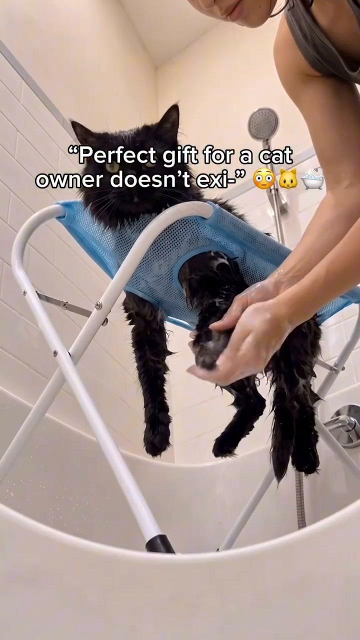 Bathing A Cat Doesn't Have To Be War