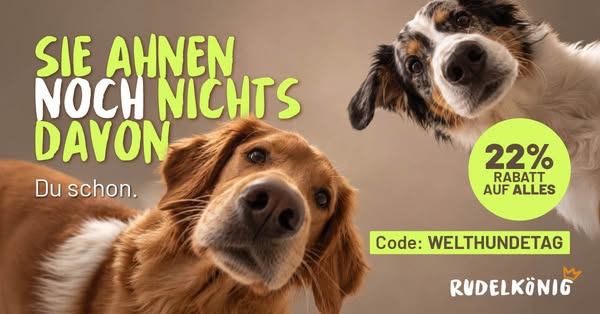 22% Rabatt auf ALLES