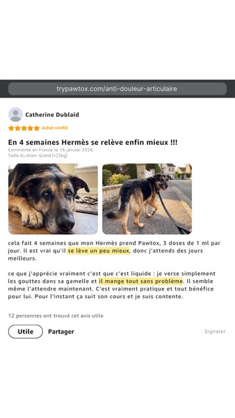 Voici ce que disent les propriétaires dont le chien souffrait des pattes arrière.