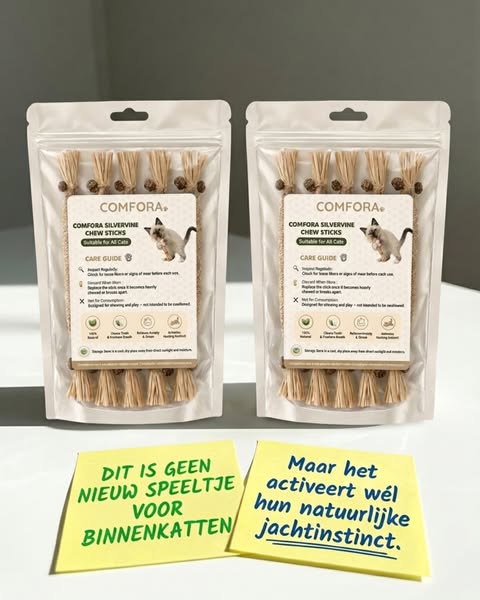 Je kat is niet gewoon rustig. Ze mist iets.