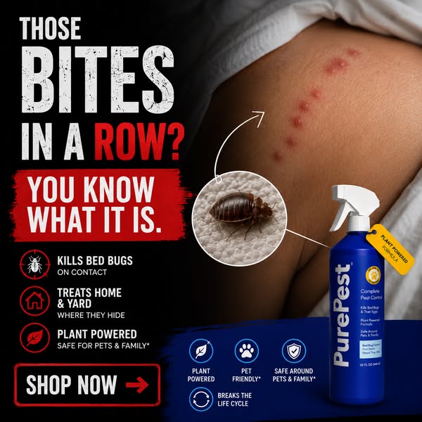 We Put Exterminators Out of Business For $25