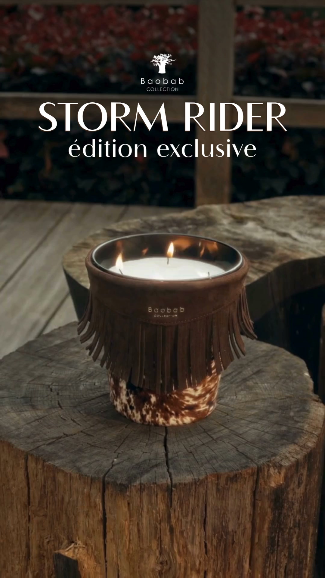 Découvrez notre édition limitée