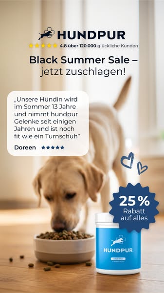 Jetzt 25% sparen