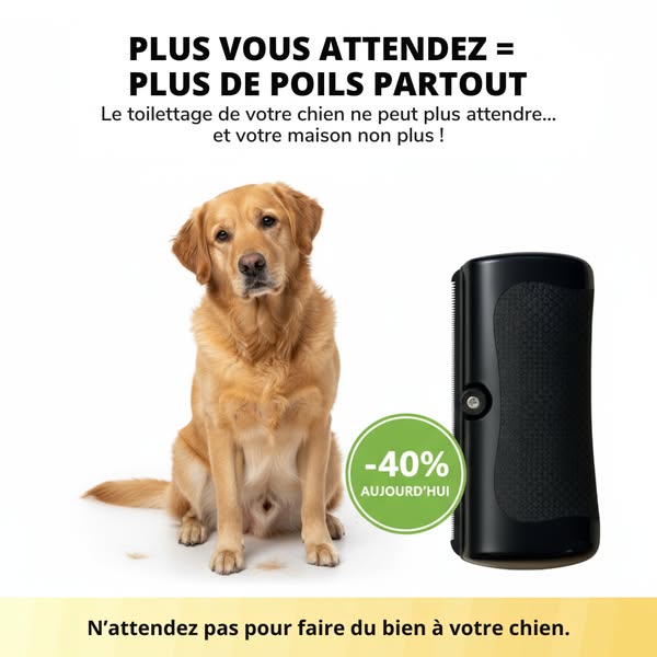 Essayez 30 jours sans risque