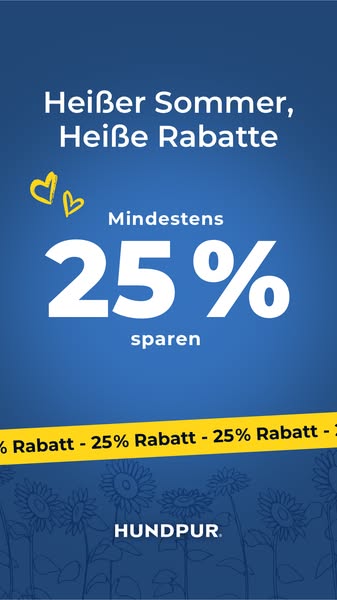 Jetzt 25% sparen