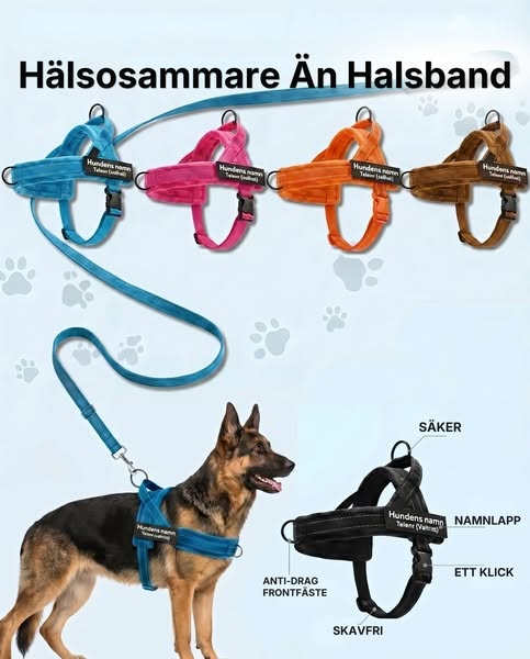 Hundsele med antidrag