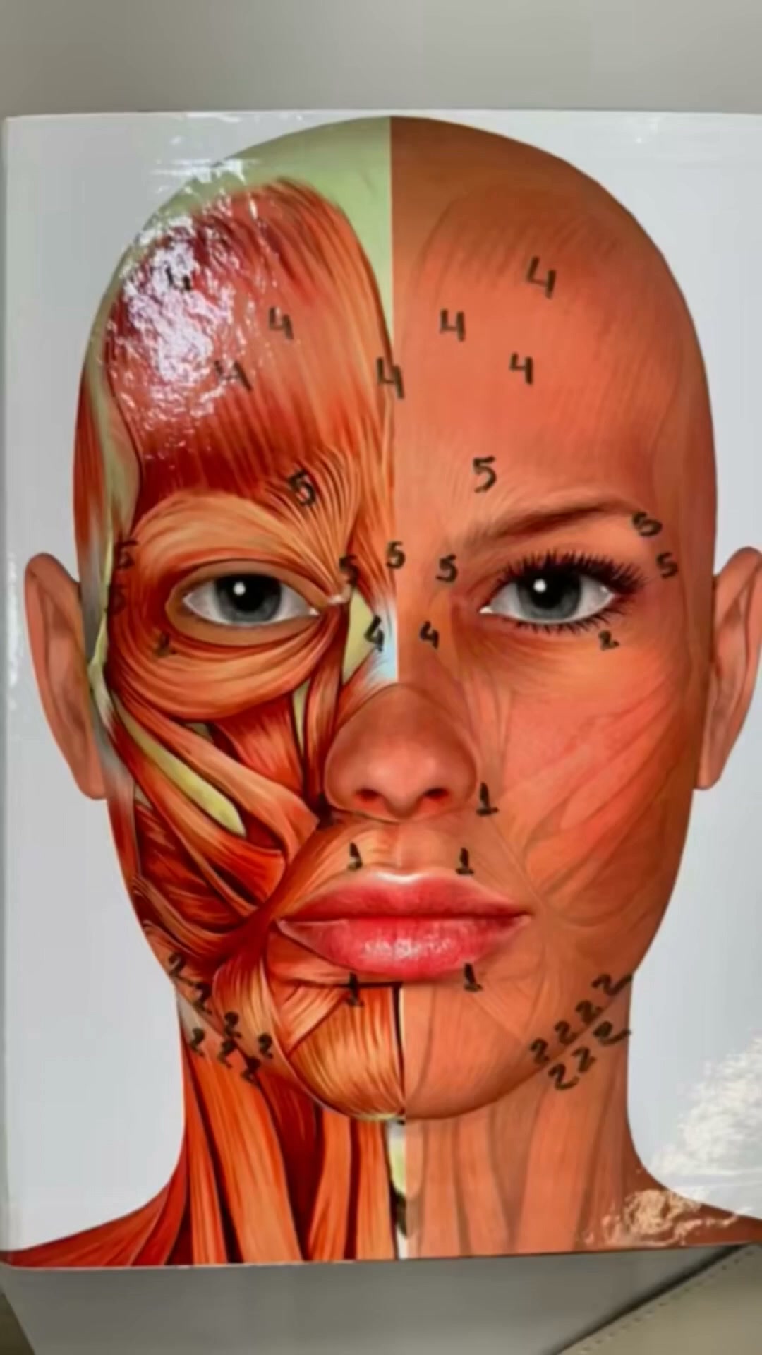 MASTER BOTULINUM TOXIN
