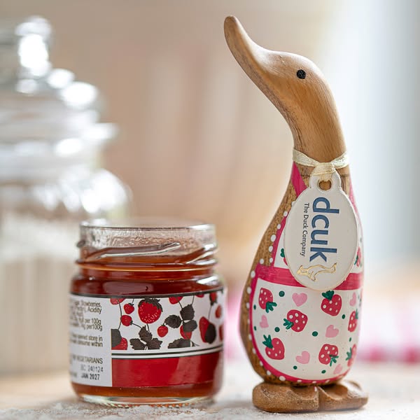 Dinky Ducks Collection